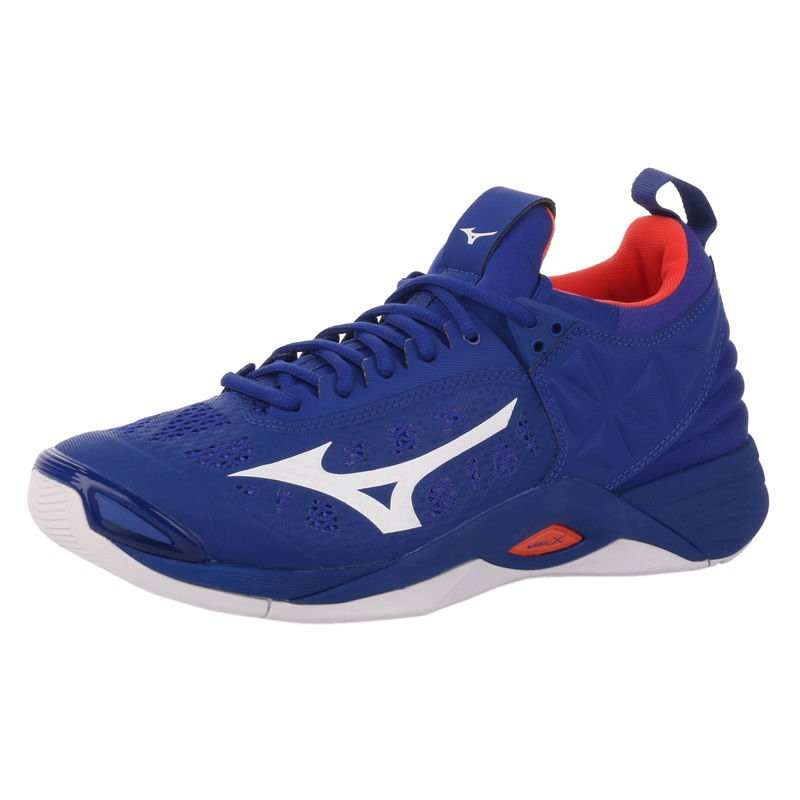 Mizuno WAVE MOMENTUM SQUASH \ Shoes \ Mizuno BADMINTON \ Shoes