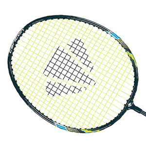 Badminton racquet Carlton TRU-STORM SSx 2.0 Blue / Green