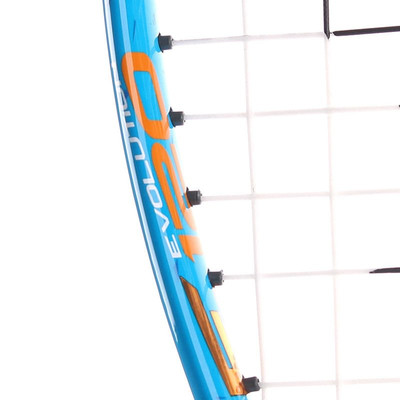 Dunlop Force Evolution 120