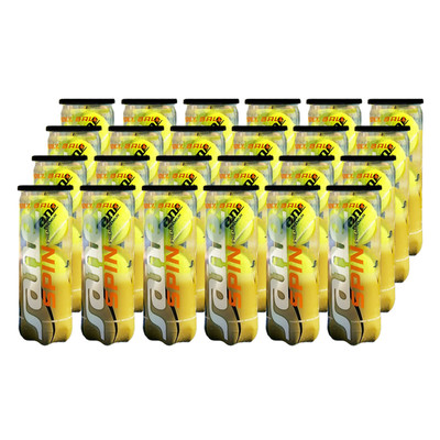 Sane Spin Premium Padel Balls 24x3pcs