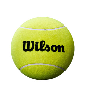 Piłka Wilson Roland Garros Mini Jumbo Ball Yellow