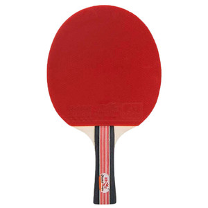 Table tennis racquet Double Fish DF-02