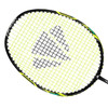 Badminton racquet Carlton TRU-STORM FS 2000
