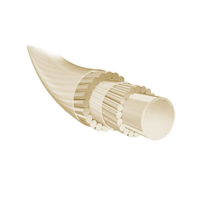 Naciąg tenis Babolat Syn Gut Force 1.30 Natural - Set