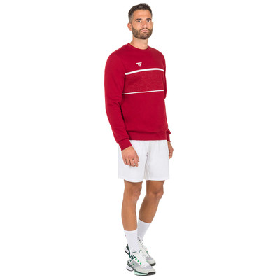 Bluza Tecnifibre Team Sweater Cardinal