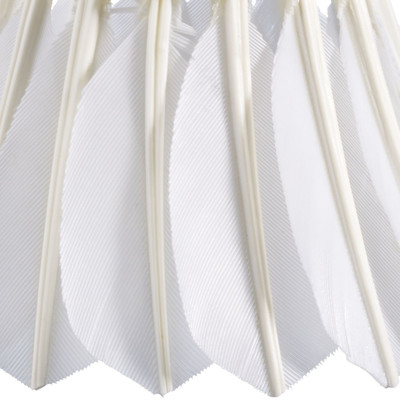 Shuttlecocks Babolat Hybrid Challenge x12