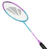 Badminton racquet Carlton Velocitex V210