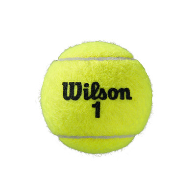 Piłki Wilson Roland Garros Clay Court 4szt.