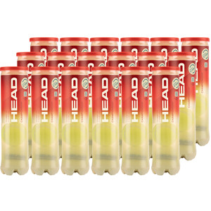 Piłki HEAD Championship karton 18x4szt