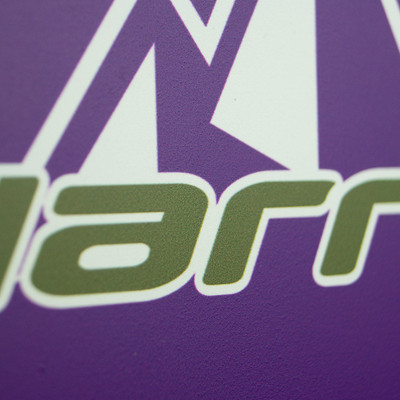 Rakieta do pickleballa Harrow Peak XP Purple / Olive