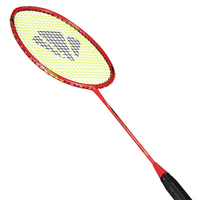 Badminton racquet Carlton TRU-STORM ASi 200