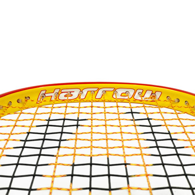 Squash racquet Harrow Reflex 120