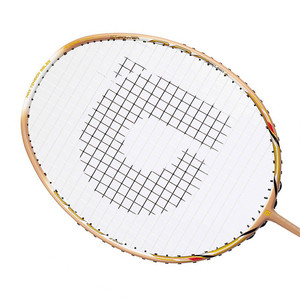 Badminton racquet Apacs Z Power 800 RP+ Beige